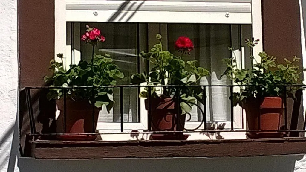 Casa de las Flores Cazorla